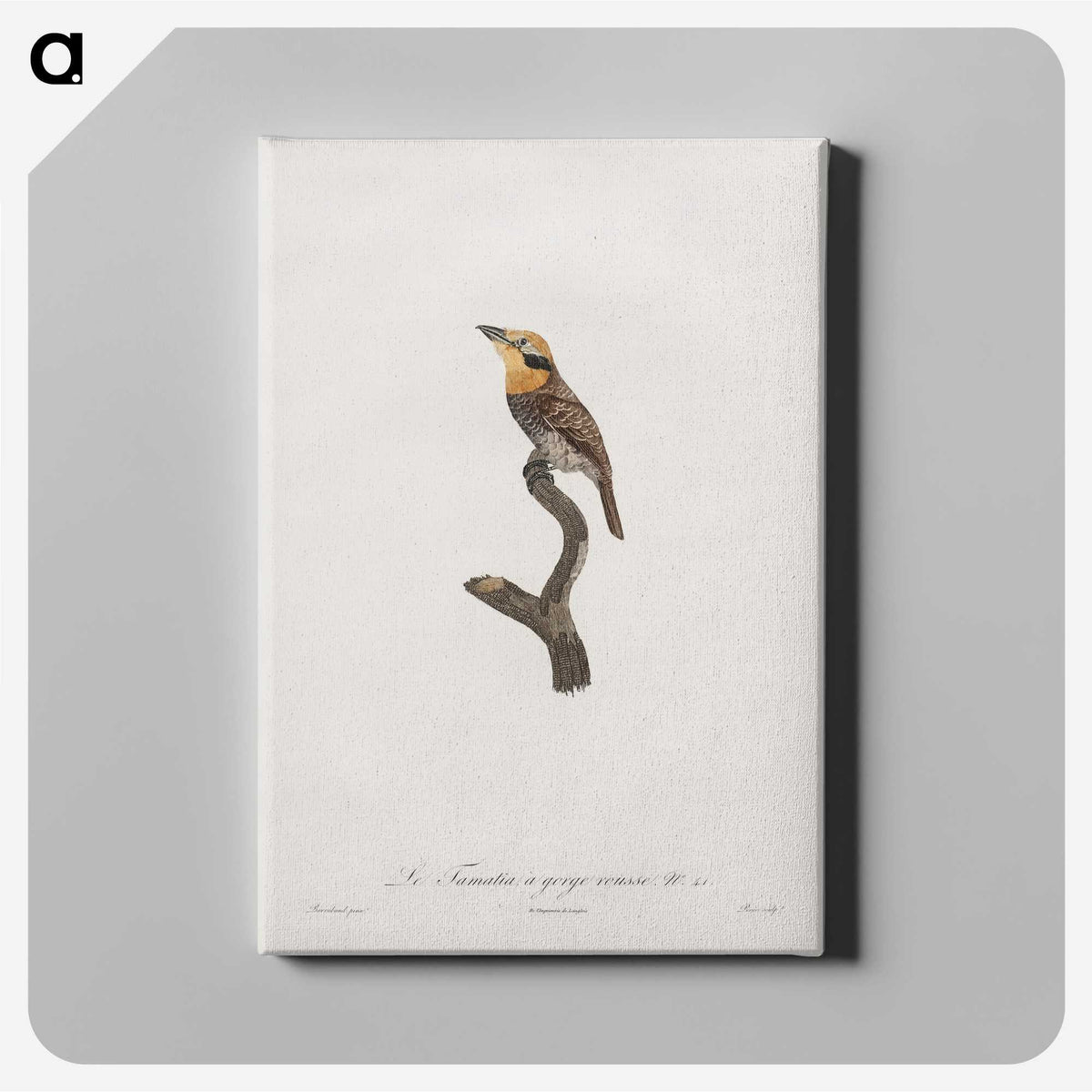 1-69_Des-Oiseaux-de-Paradis_canvas