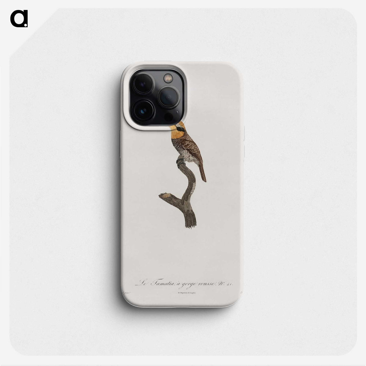 1-69_Des-Oiseaux-de-Paradis_phone
