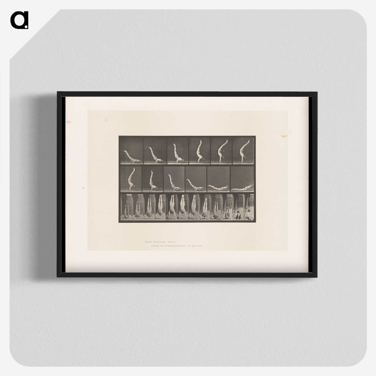 1-69_Eadweard-Muybridge_blk-crop