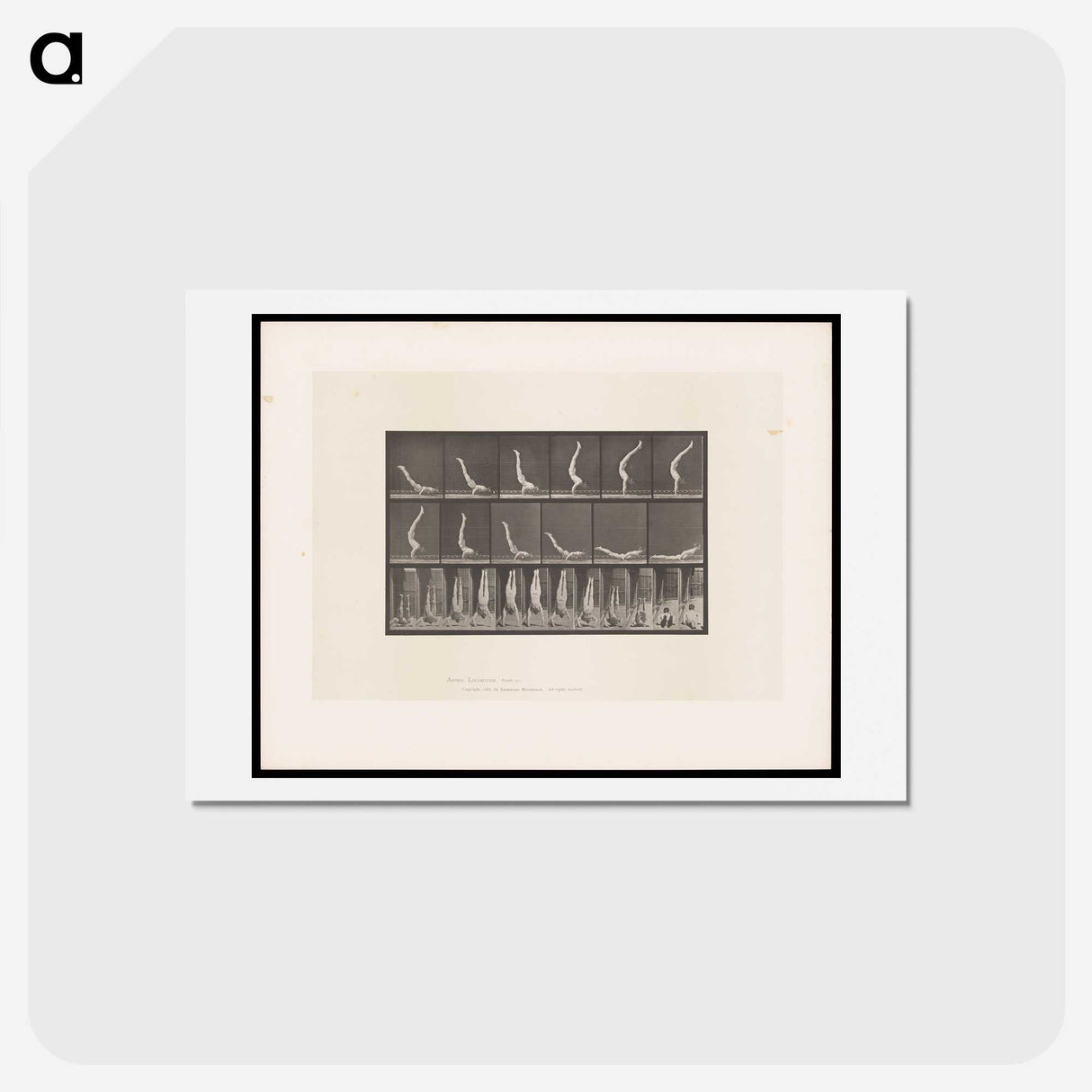 1-69_Eadweard-Muybridge_hagaki