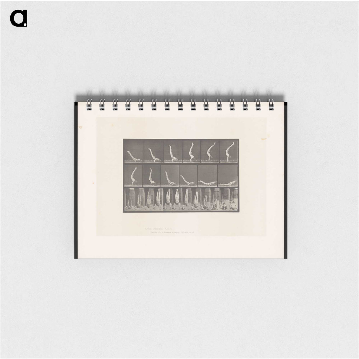1-69_Eadweard-Muybridge_memo