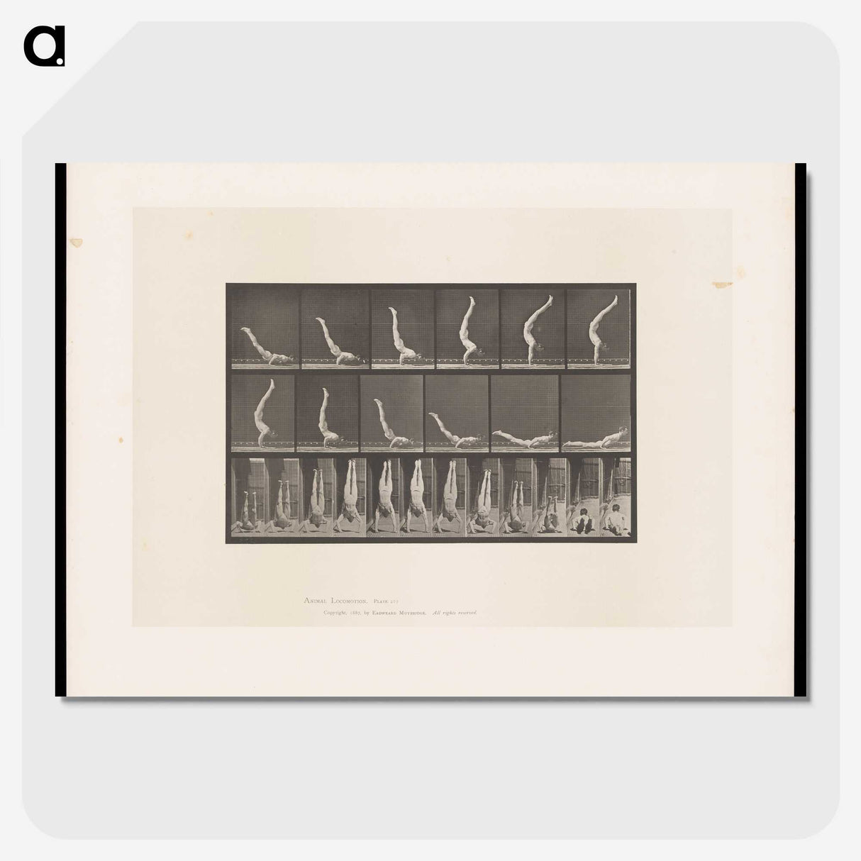 1-69_Eadweard-Muybridge_picture-crop