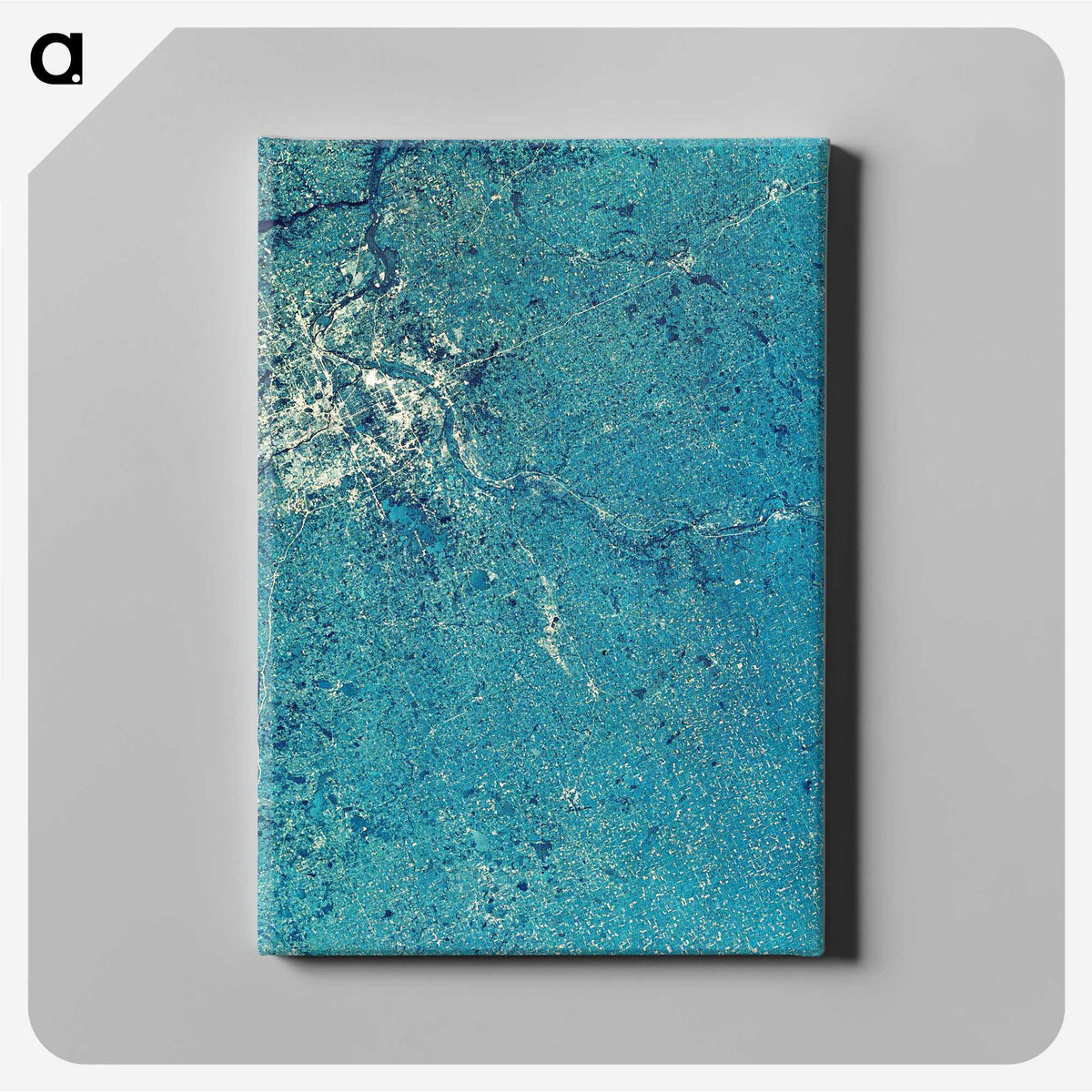 1-69_Earth-from-Above_canvas