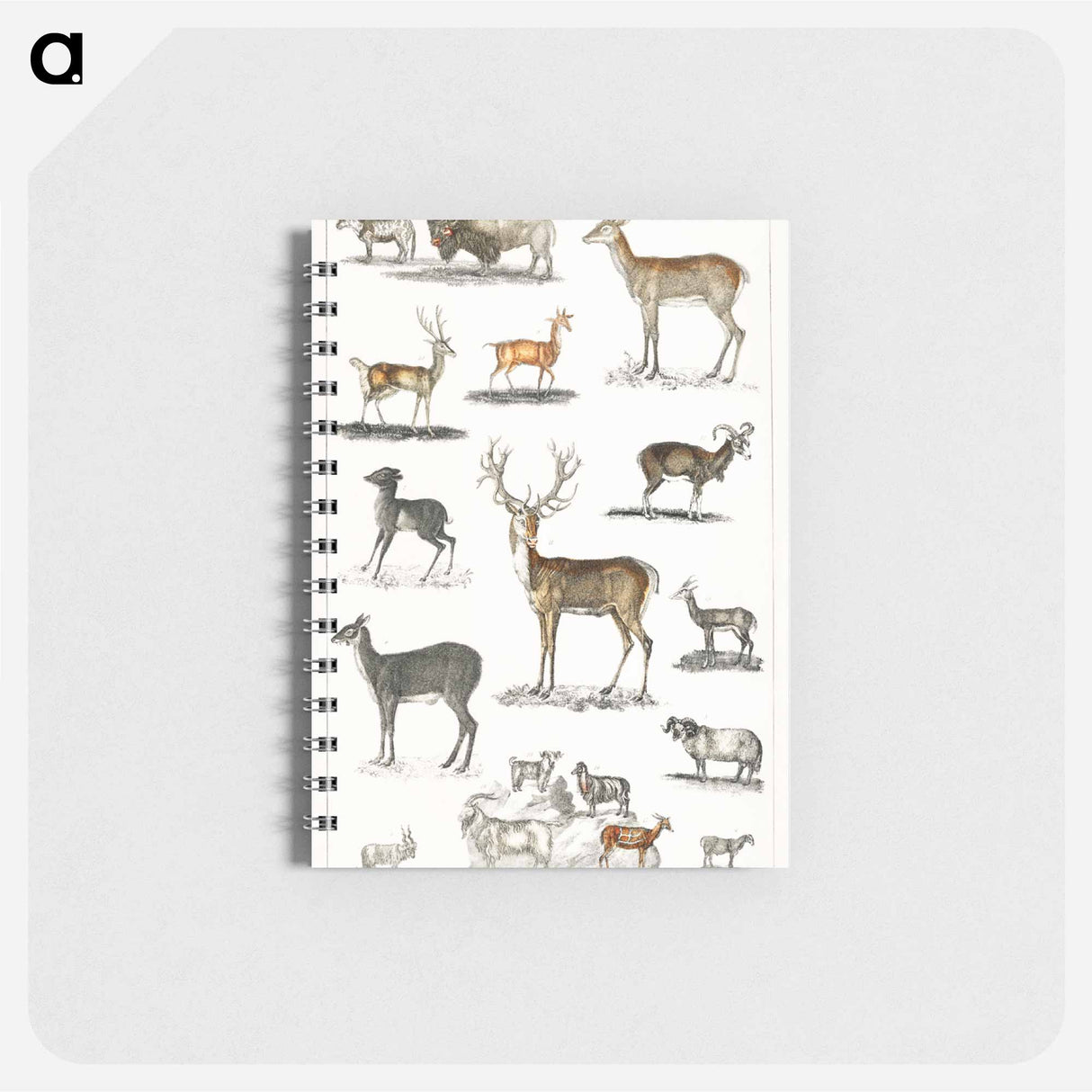 アートメモ帳-Antlered Animals
- ゴールドスミスの生き生きとした自然 Memo.