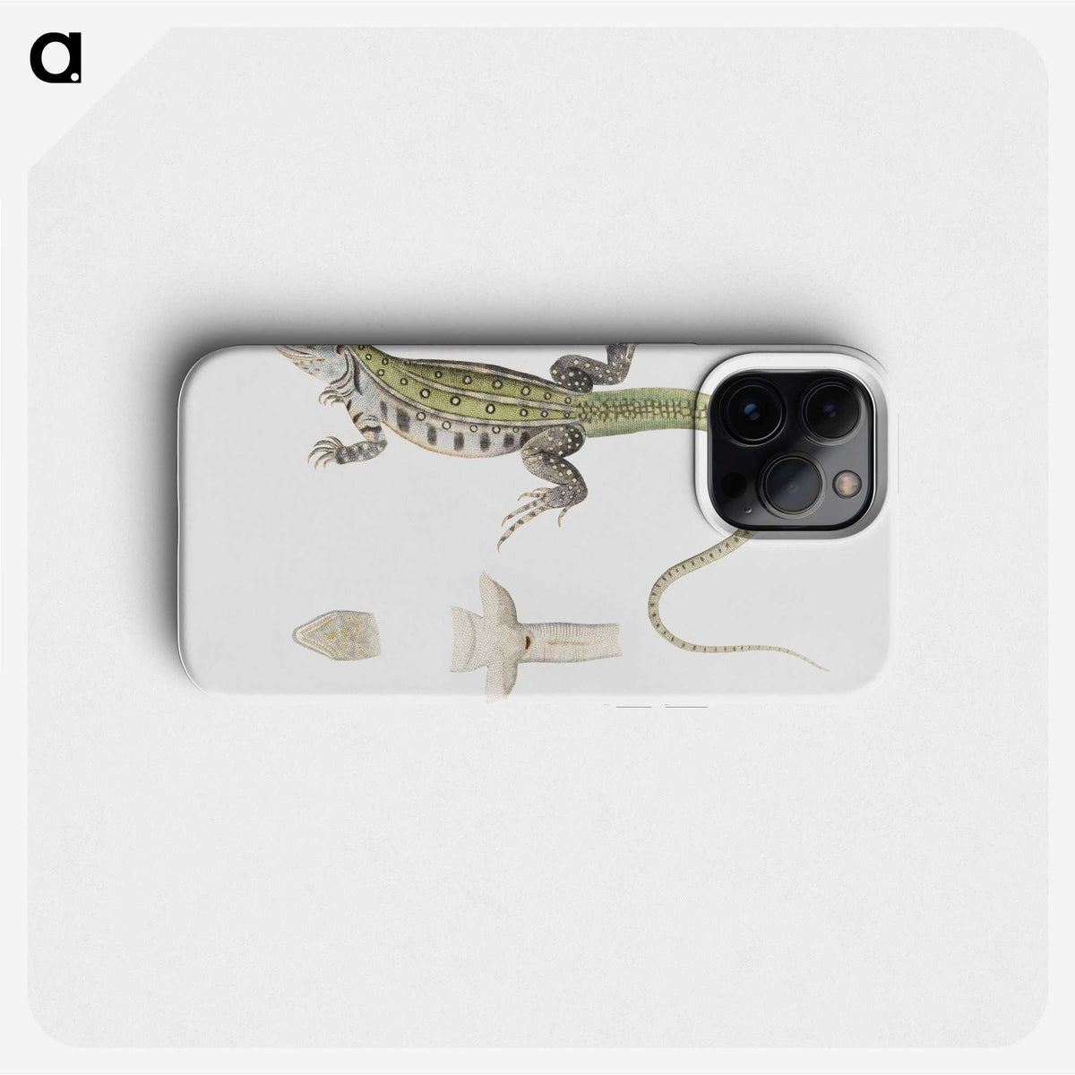 1-69_Indian-Zoology_phone