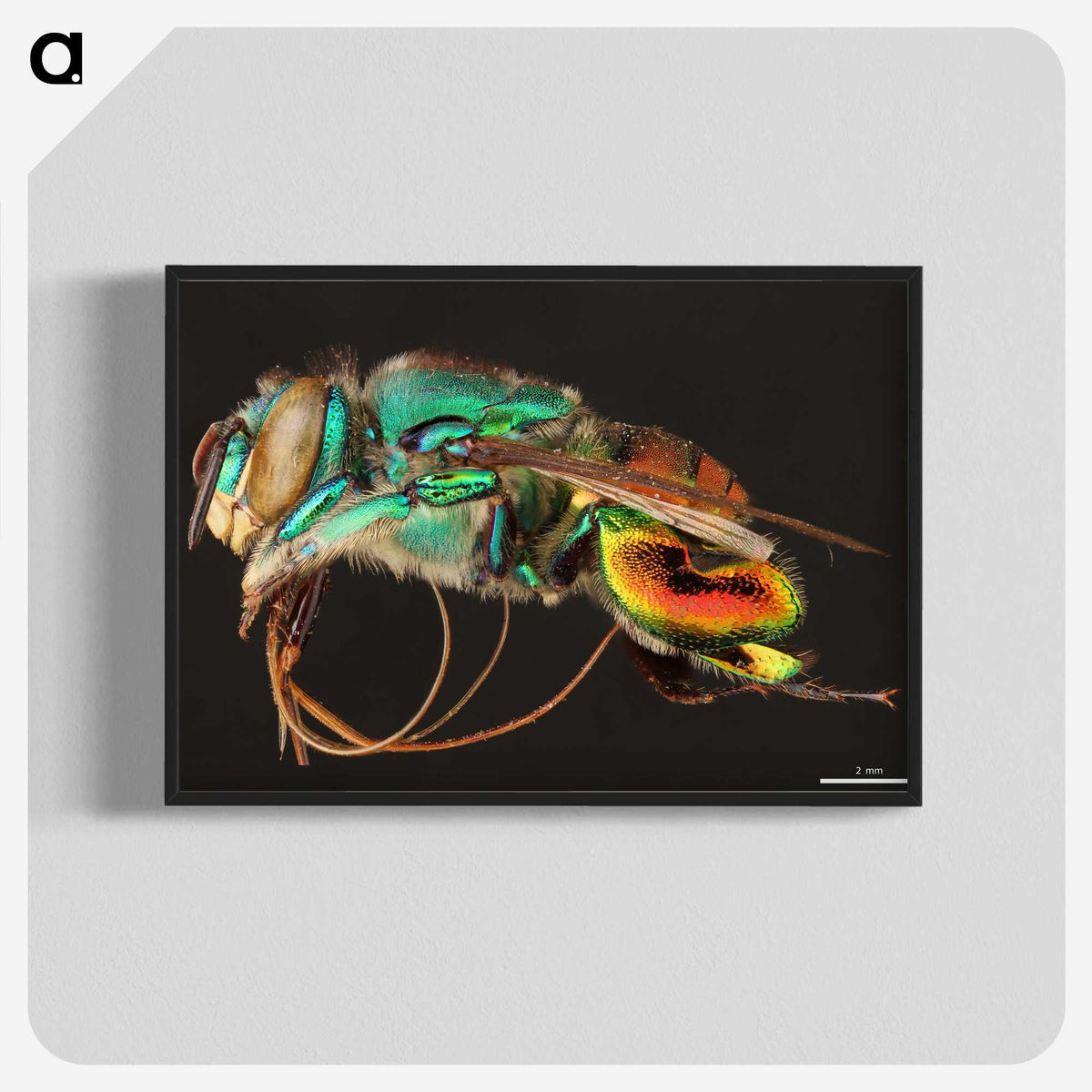 1-69_Insects-Unlocked-Project_blk-crop