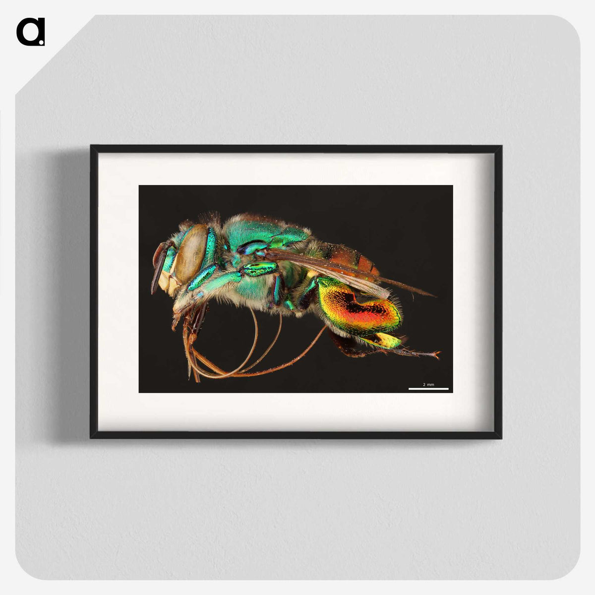 1-69_Insects-Unlocked-Project_blk