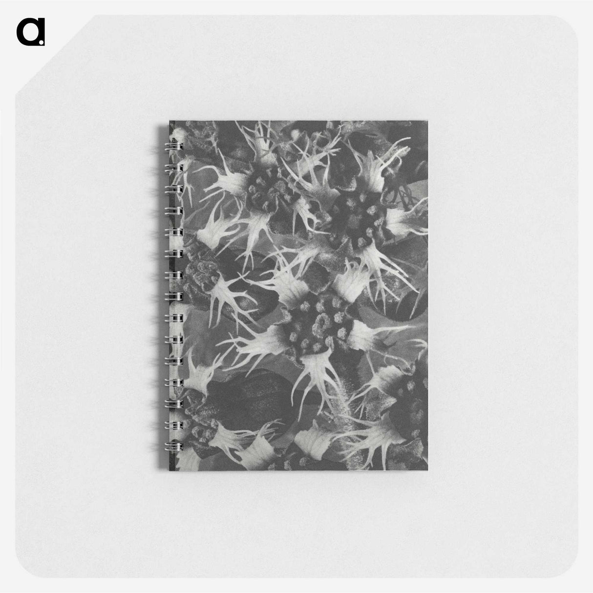 1-69_Karl-Blossfeldt_memo