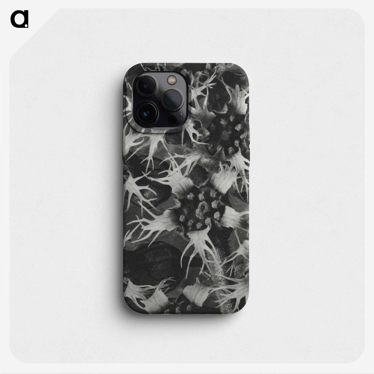 1-69_Karl-Blossfeldt_phone