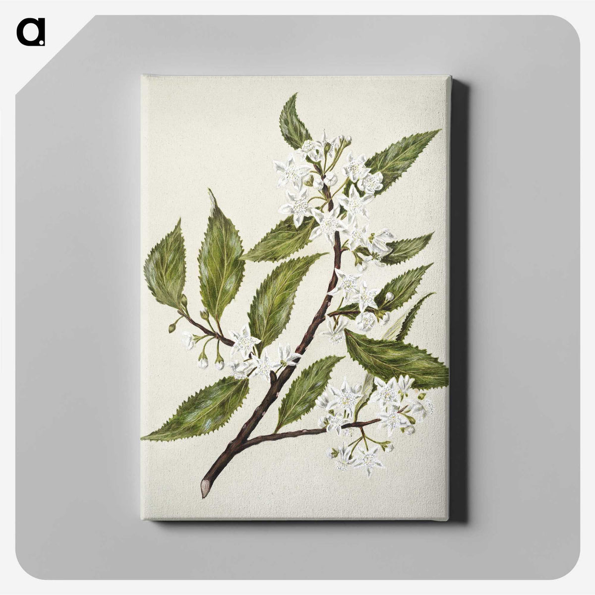 1-69_Native-Flowering-Plants-of-New-Zealand_canvas