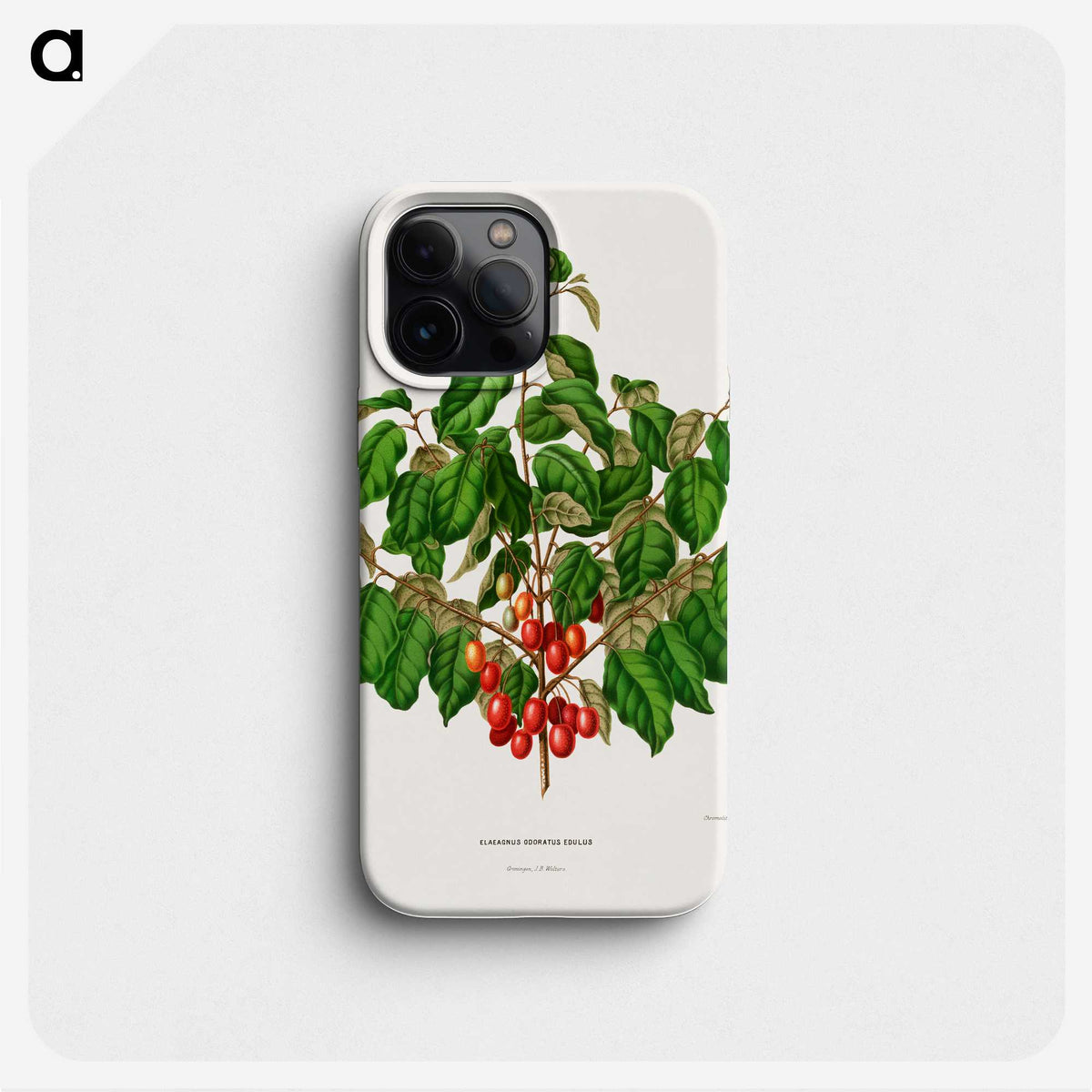 1-69_Nederlandsche-Flora-en-Pomona_phone