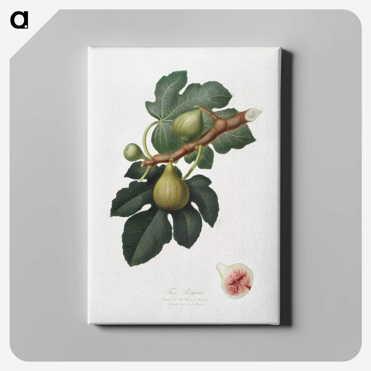 1-69_Pomona-Italiana_canvas