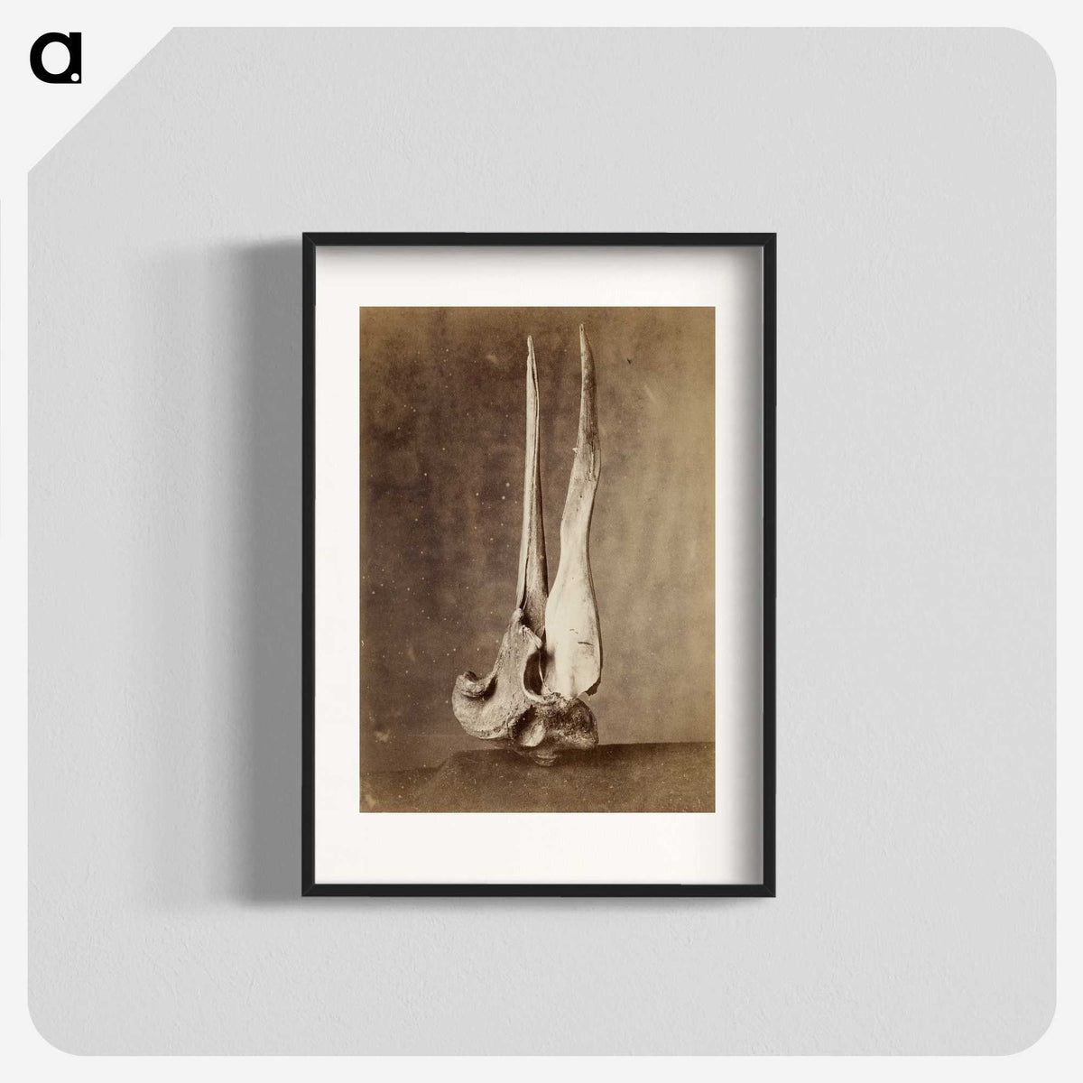 1-69_The-Burton-Brothers_blk