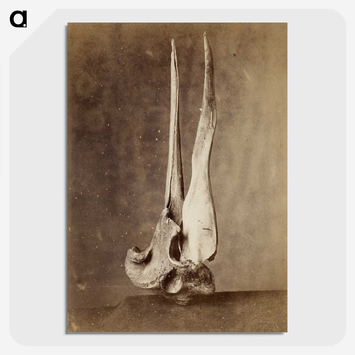 1-69_The-Burton-Brothers_picture-crop