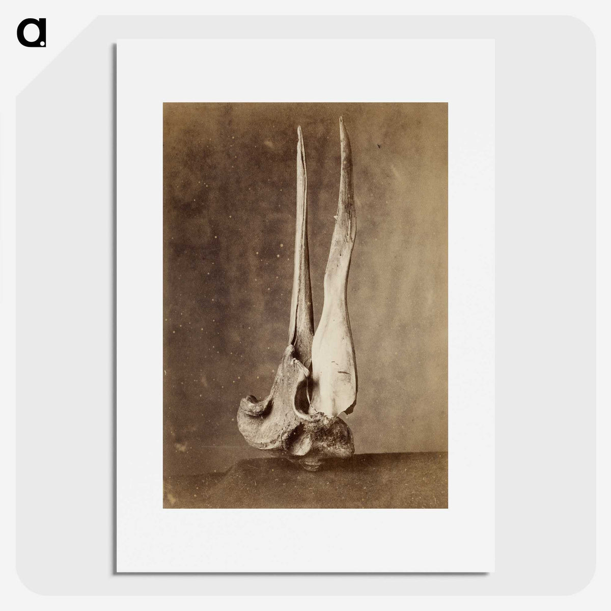 1-69_The-Burton-Brothers_picture