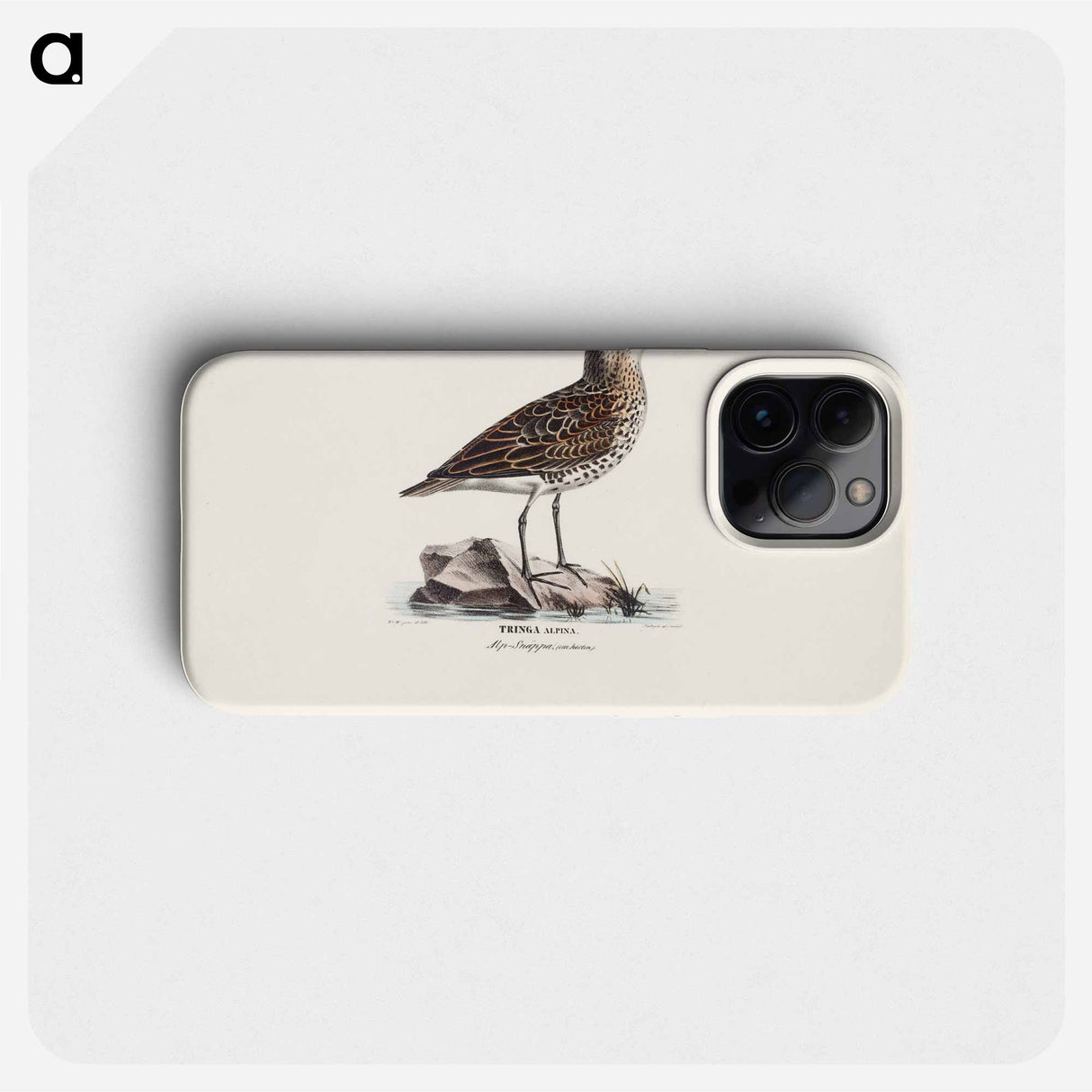Dunlin in autumn - Wilhelm von Wright Phone Case.