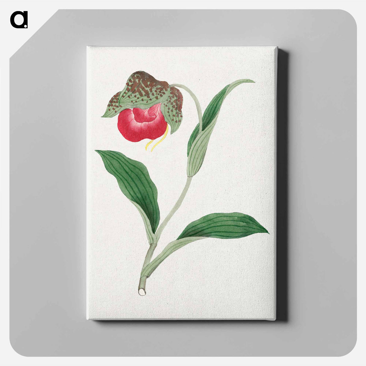 Atsumori - 19世紀の日本の花 Canvas.