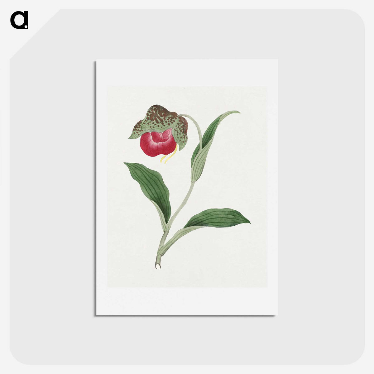 1-6_19th-Century-Japanese-Flowers_hagaki
