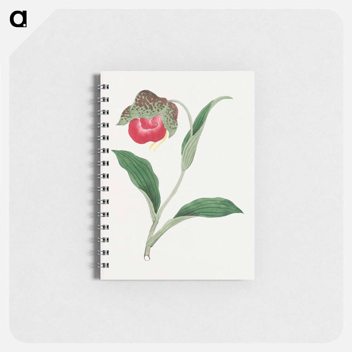 アートメモ帳-Atsumori - 19世紀の日本の花 Memo.