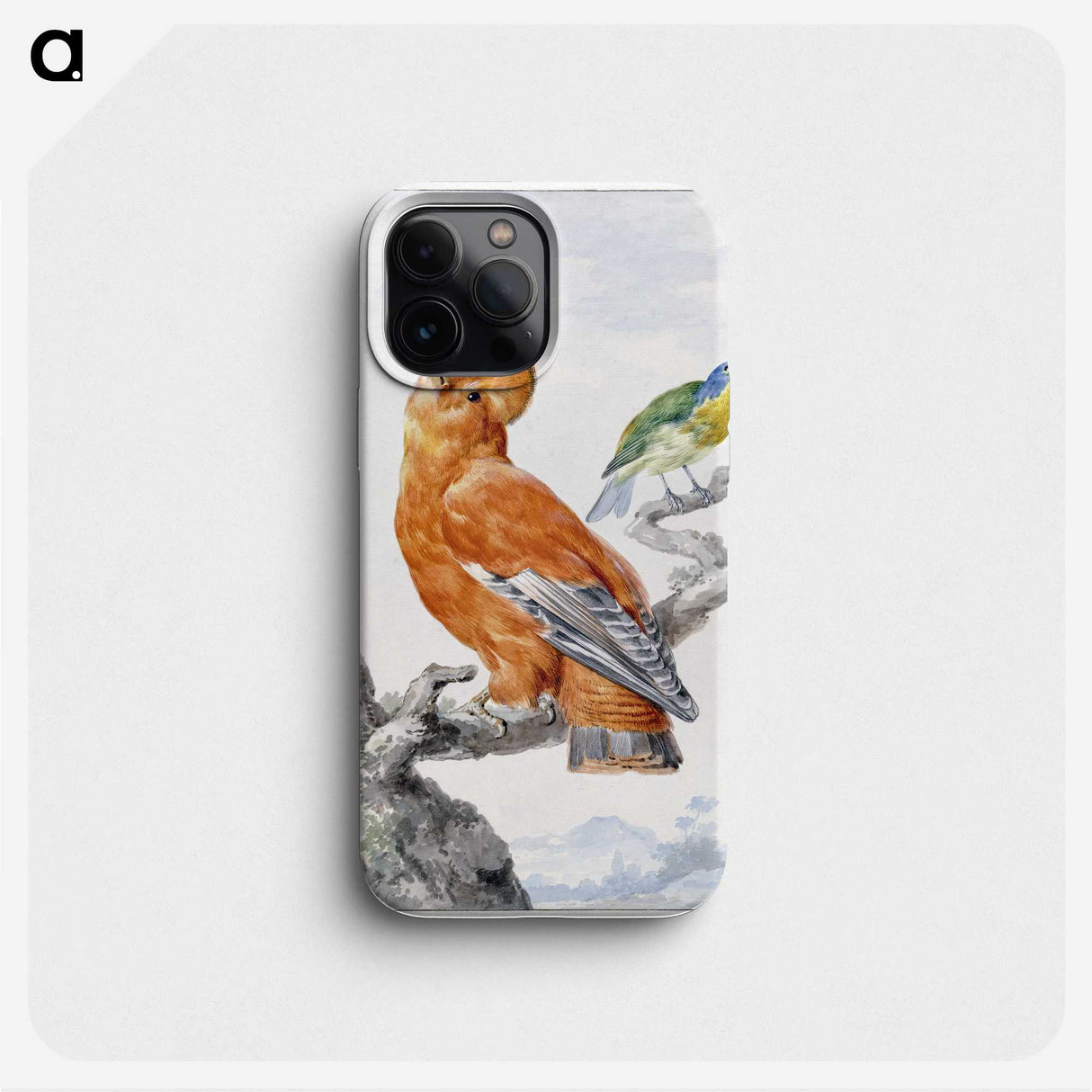 1-6_Aert-Schouman_phone