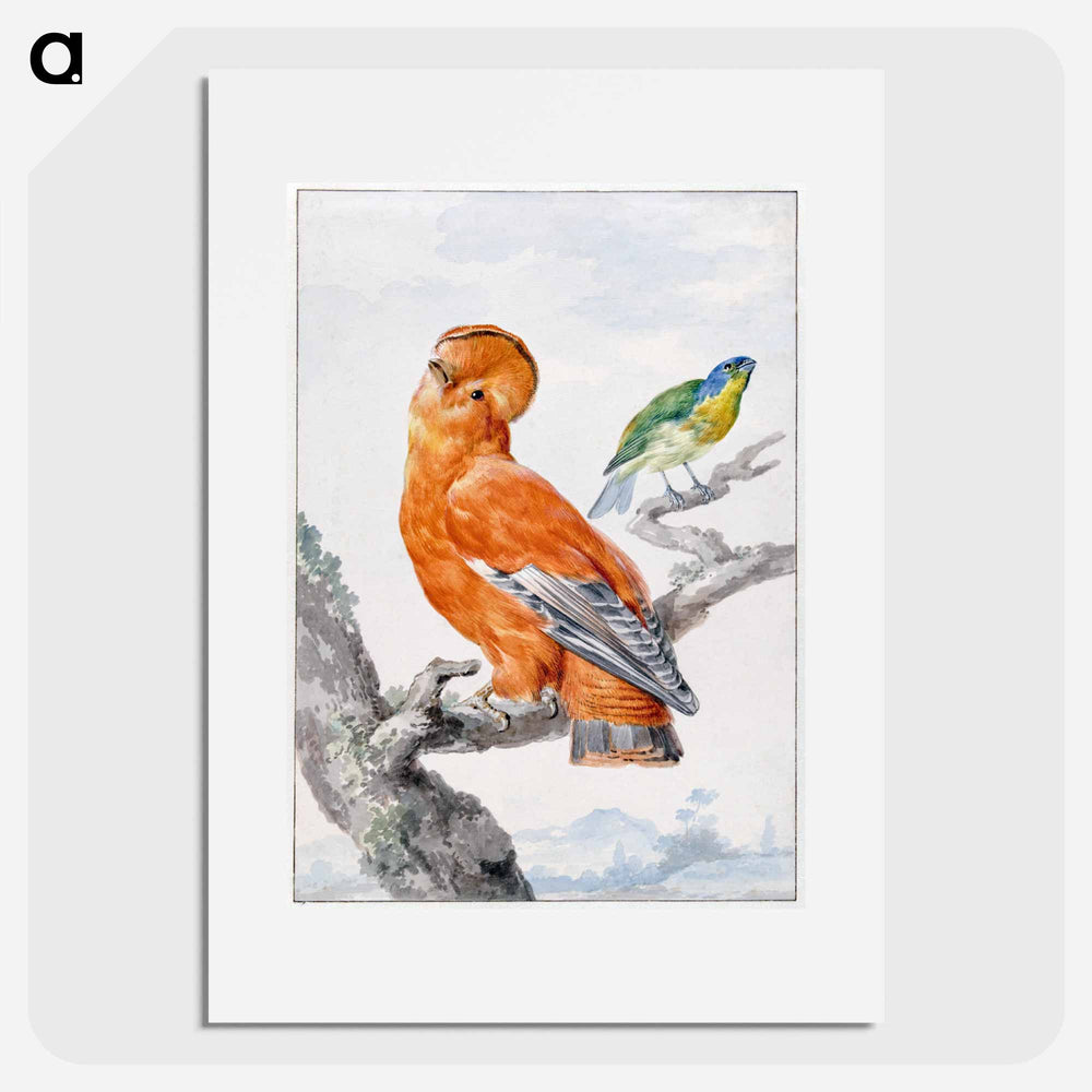 Two Exotic Birds - アールト シューマン Poster.