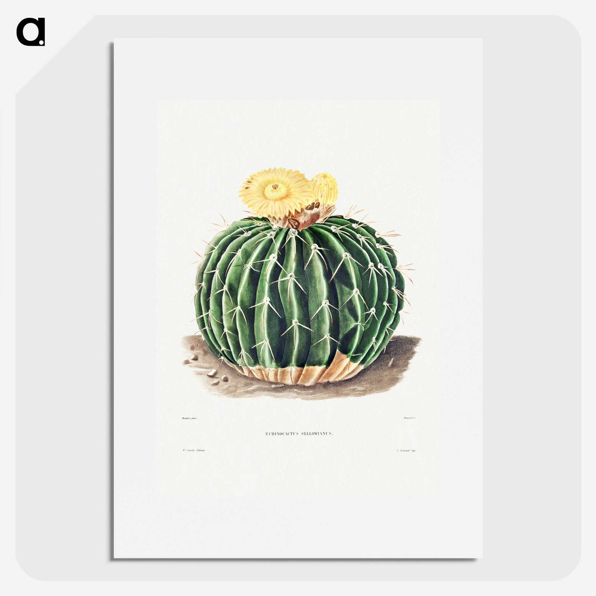 1-6_Charles-Antoine-Lemaire_picture