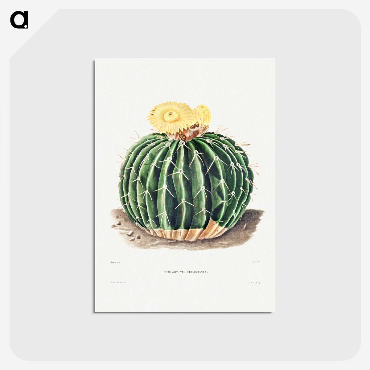 1-6_Charles-Antoine-Lemaire_postcard