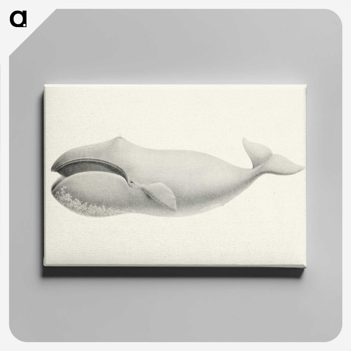 1-6_Charles-Melville-Scammon_canvas