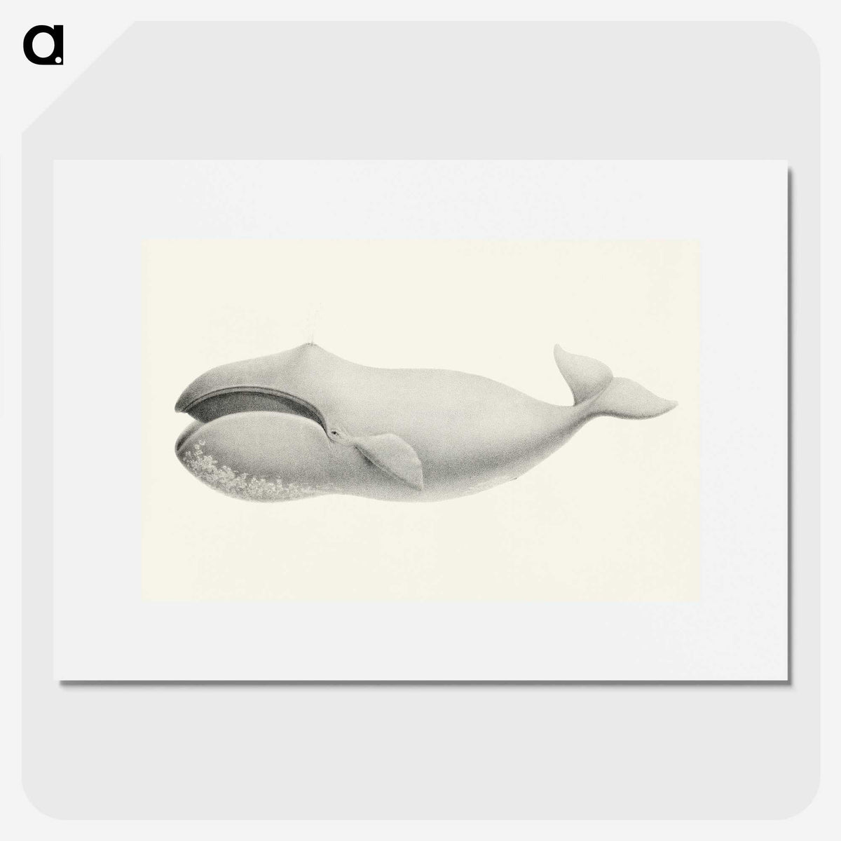 1-6_Charles-Melville-Scammon_picture