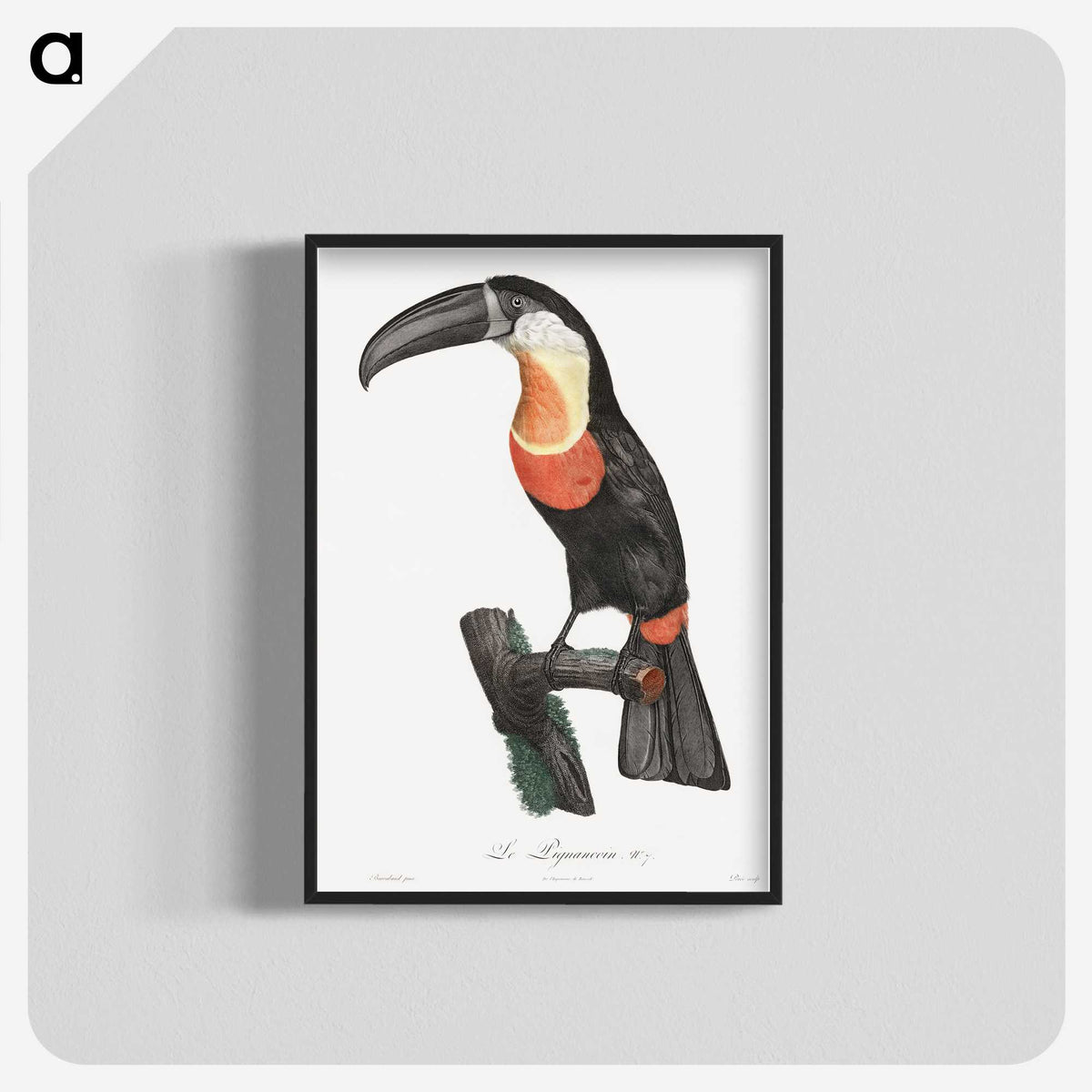 1-6_Des-Oiseaux-de-Paradis_blk-crop