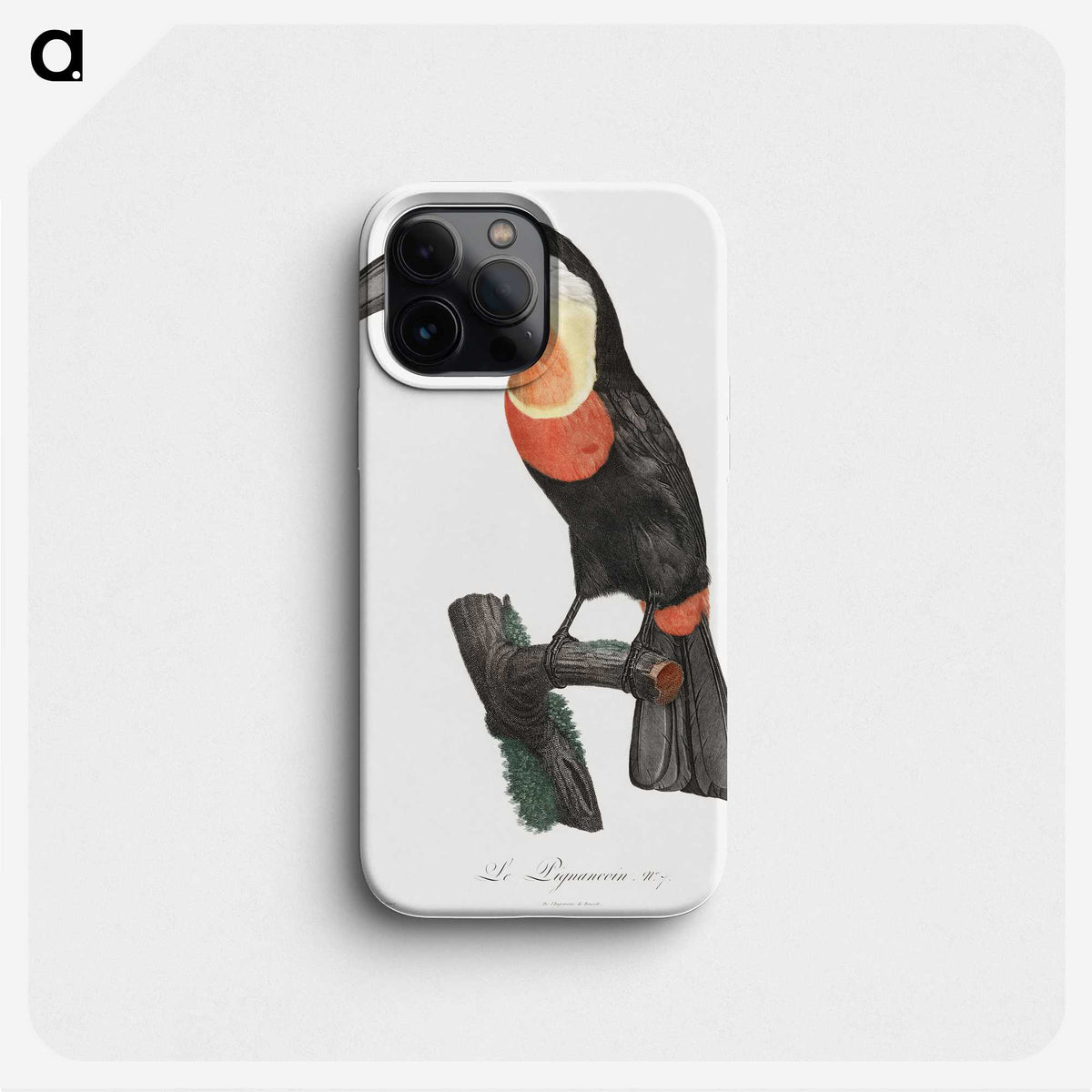 1-6_Des-Oiseaux-de-Paradis_phone