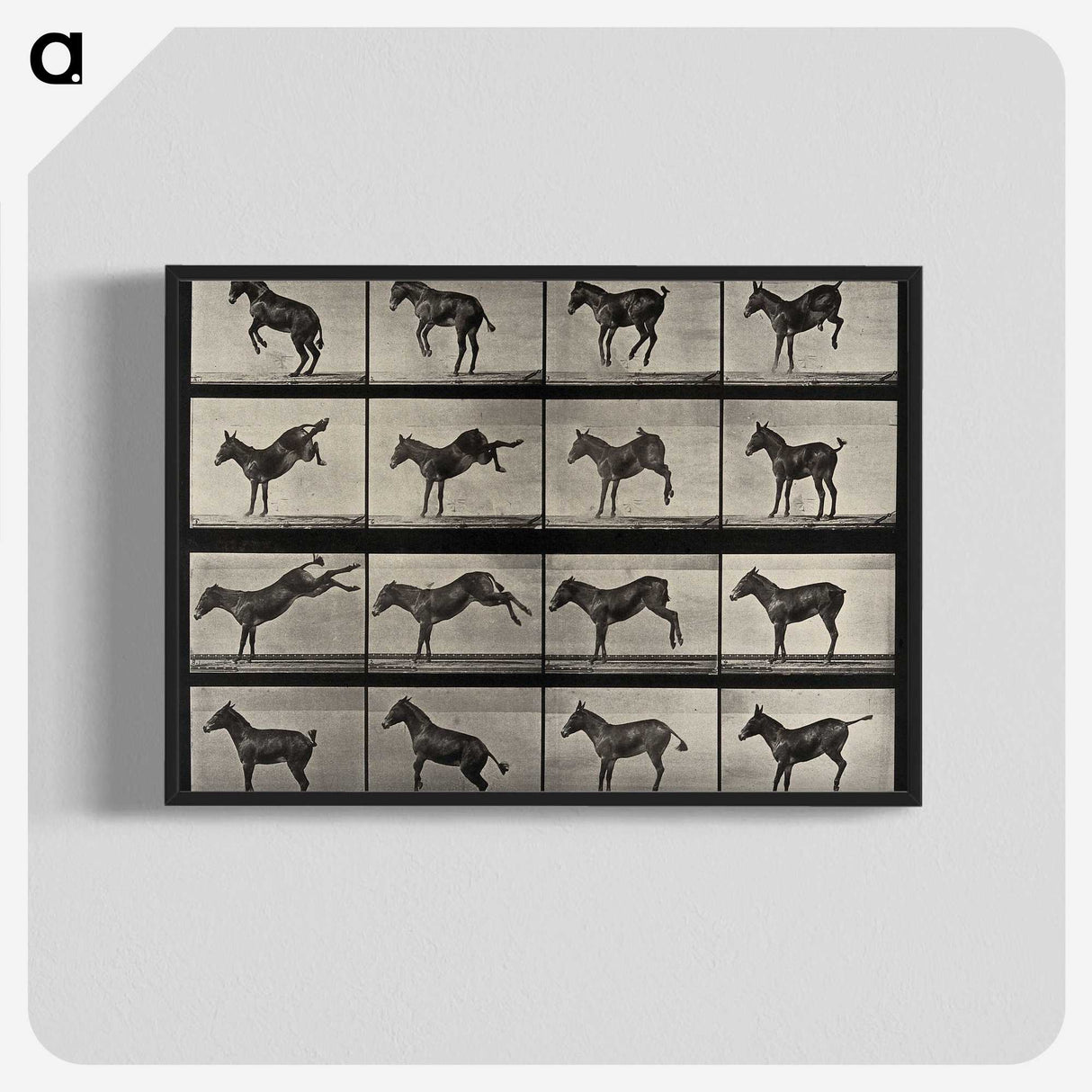1-6_Eadweard-Muybridge_blk-crop