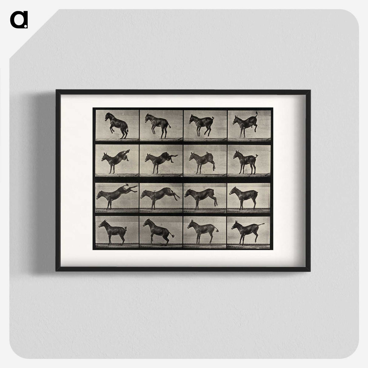1-6_Eadweard-Muybridge_blk