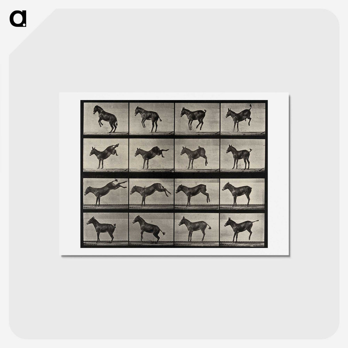 1-6_Eadweard-Muybridge_hagaki