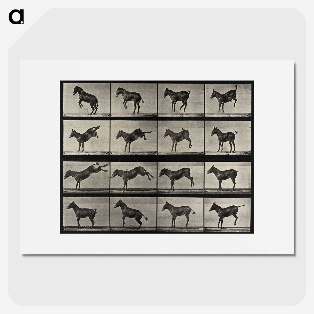 1-6_Eadweard-Muybridge_picture