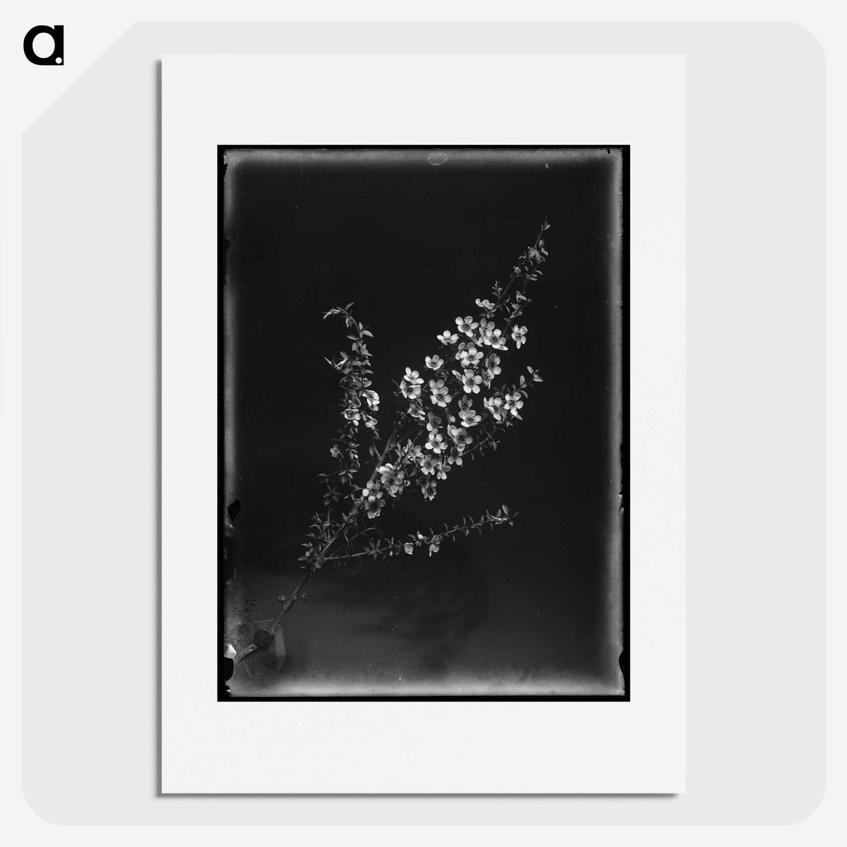 1-6_Frederick-Charles-Brockett_picture