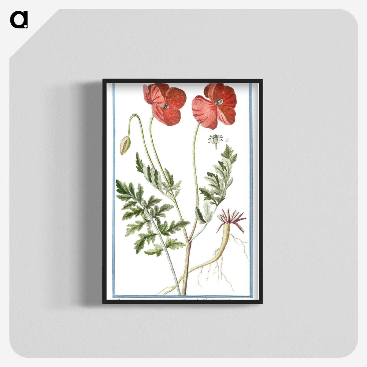 1-6_Hortus-Romanus-Botanical-Plates_blk-crop
