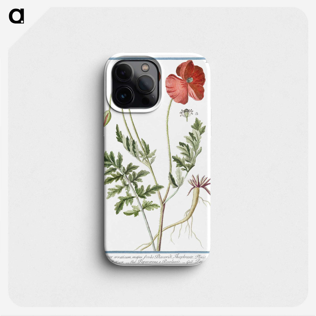 1-6_Hortus-Romanus-Botanical-Plates_phone