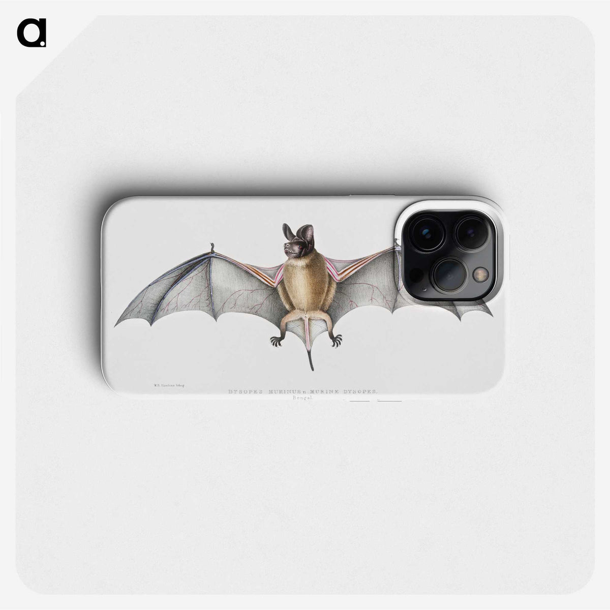 1-6_Indian-Zoology_phone