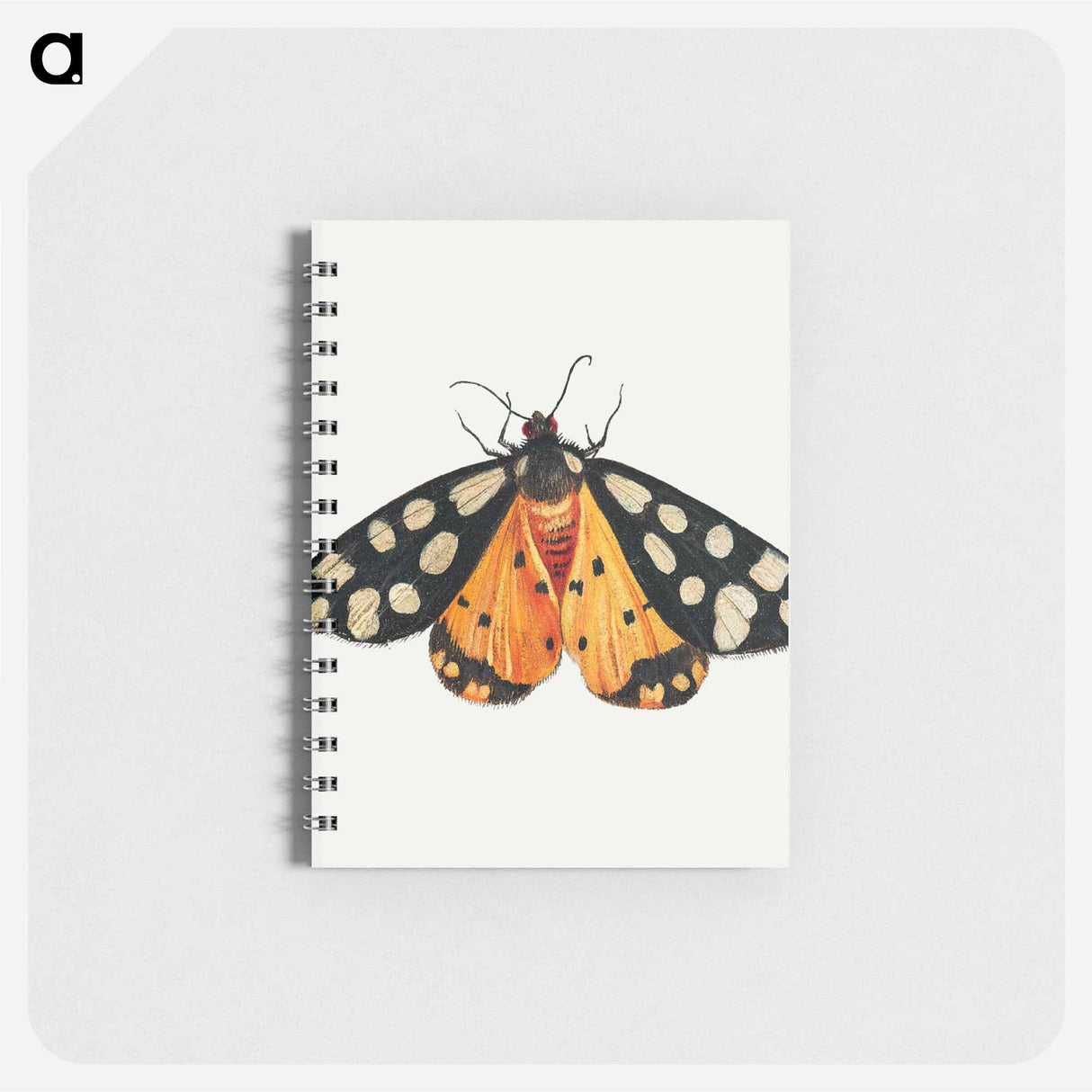 アートメモ帳-Butterfly from Insects and Fruits
- ヤン ファン ケッセル Memo.