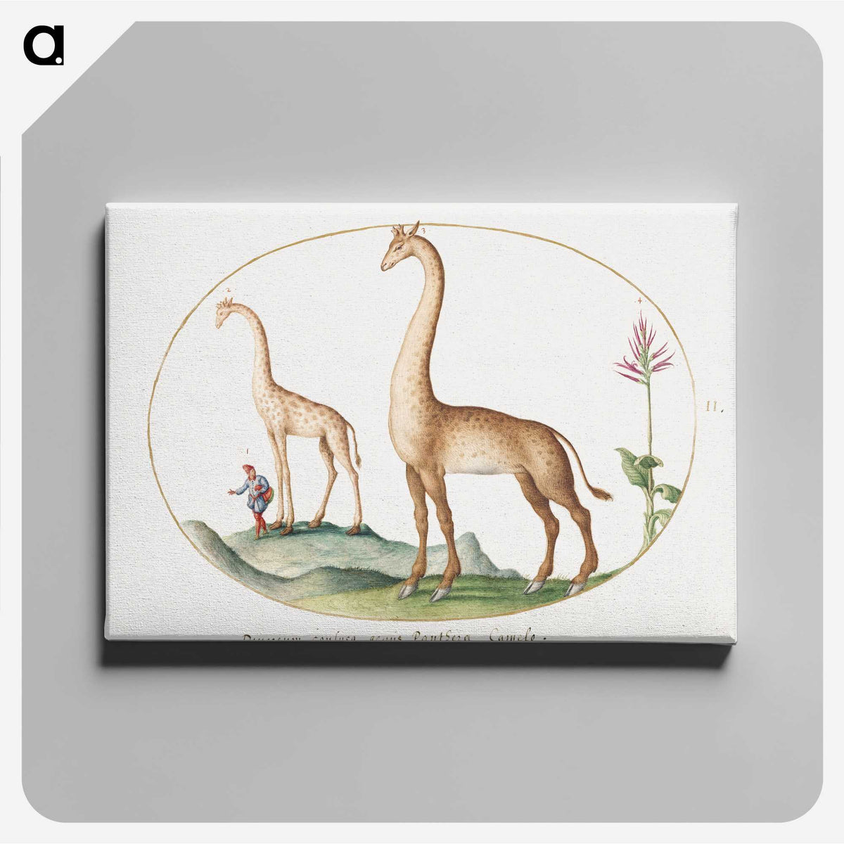 1-6_Joris-Hoefnagel_canvas