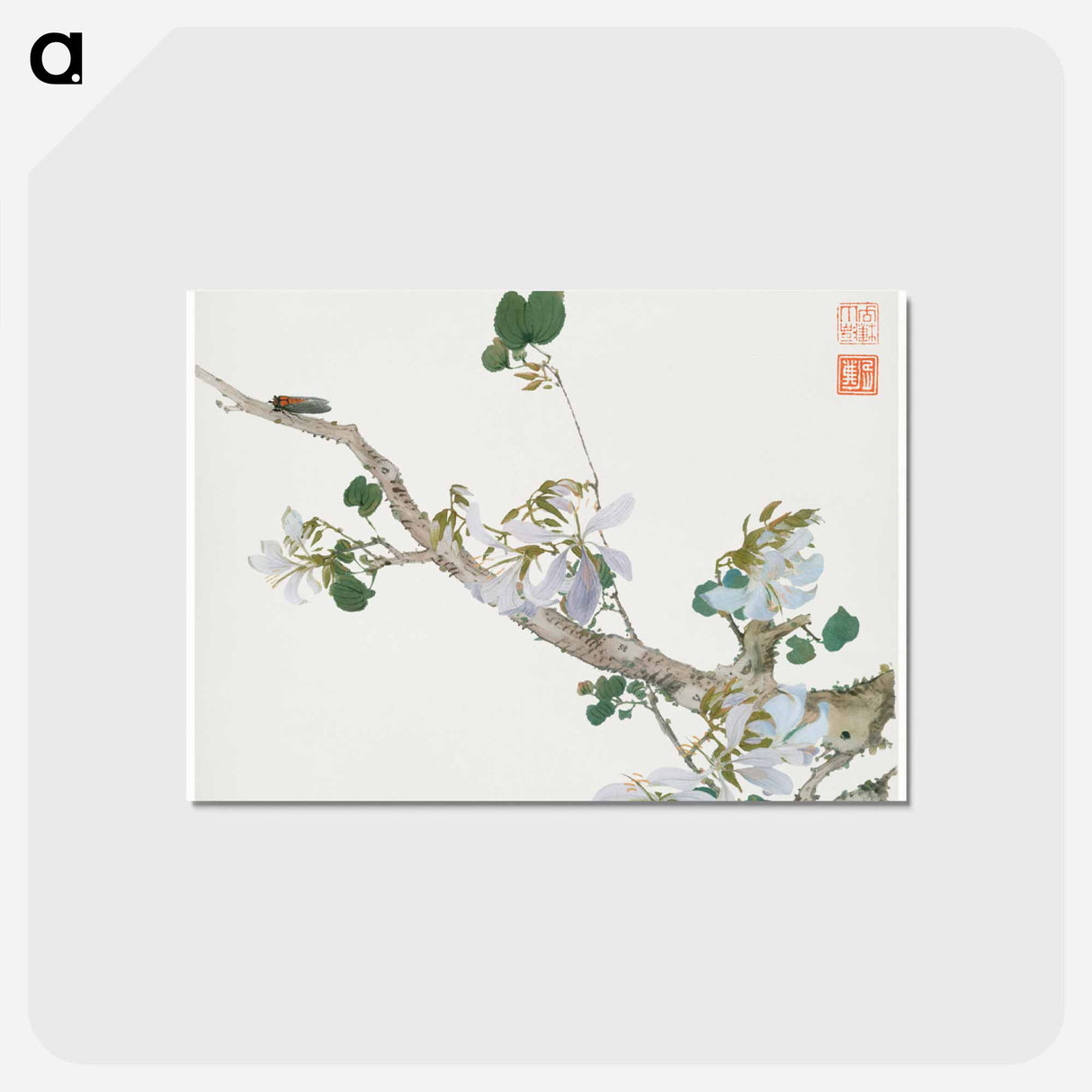 Insects and Flowers
- ジュ リアン Postcard.