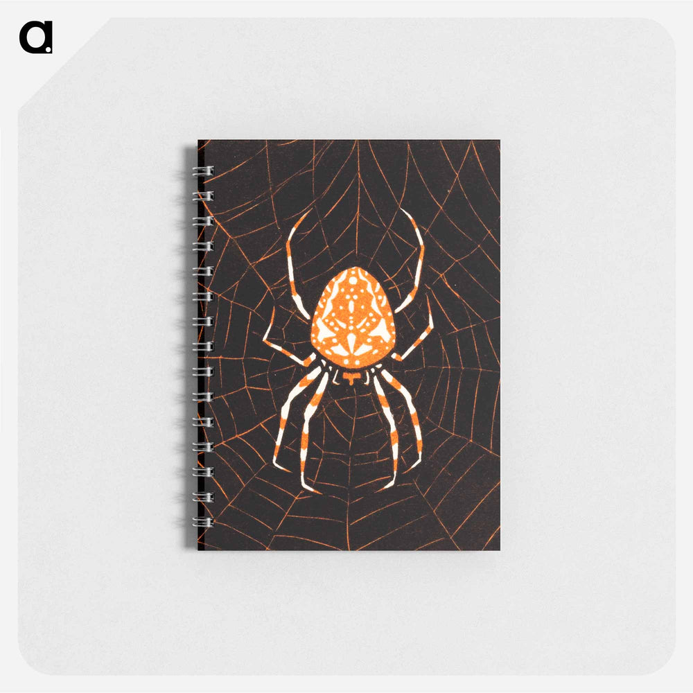 Spider in a web - ユリー デ フラーハ Memo.