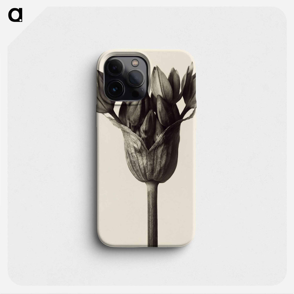 Allium ostrowskianum, Knoblauchpflanze - カール ブロスフェルト Phone Case.