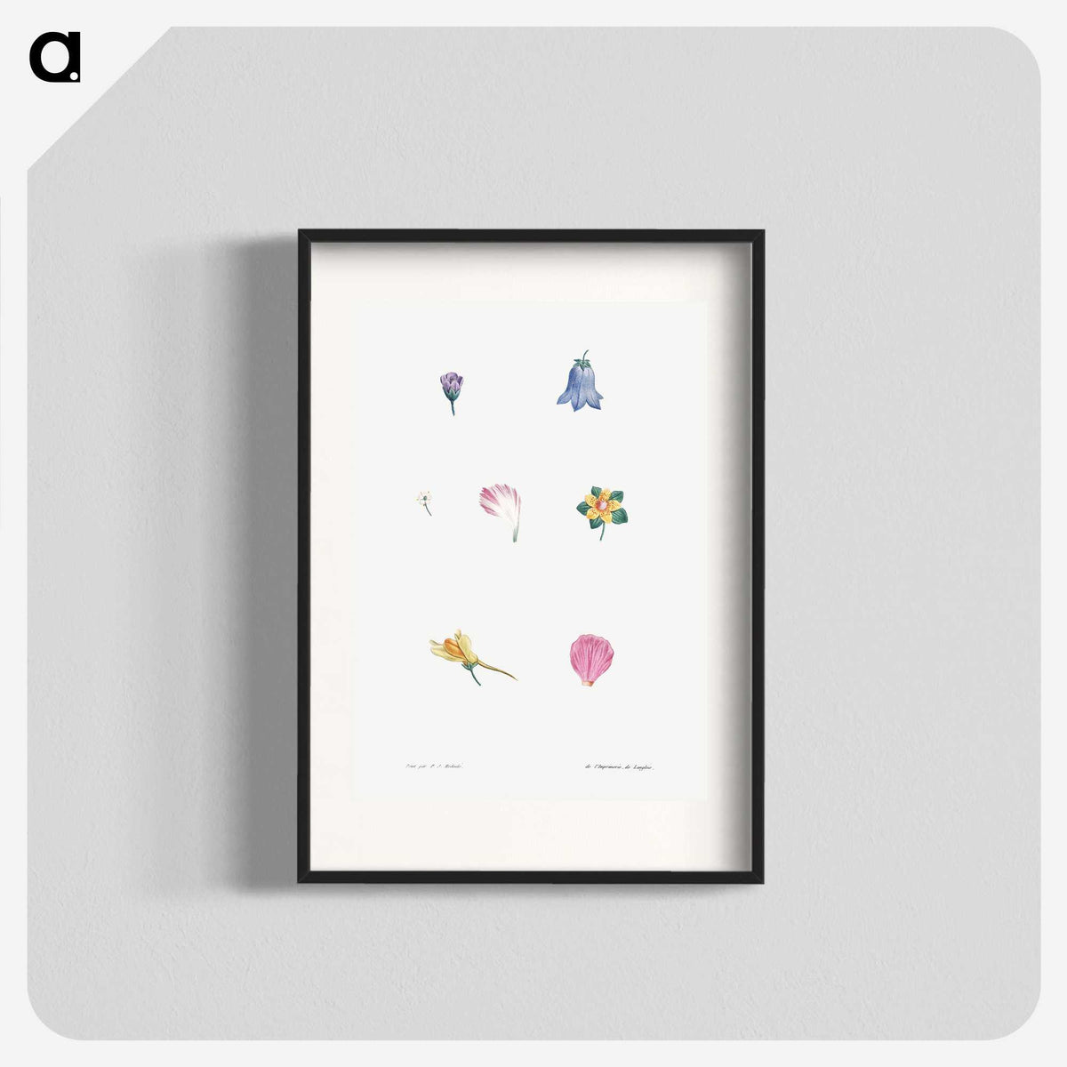 1-6_La-Botanique_blk
