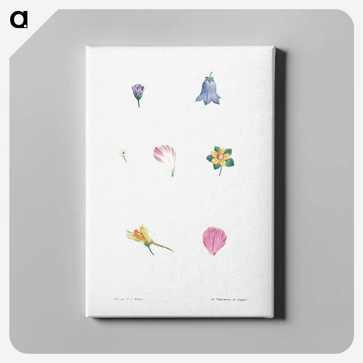 1-6_La-Botanique_canvas