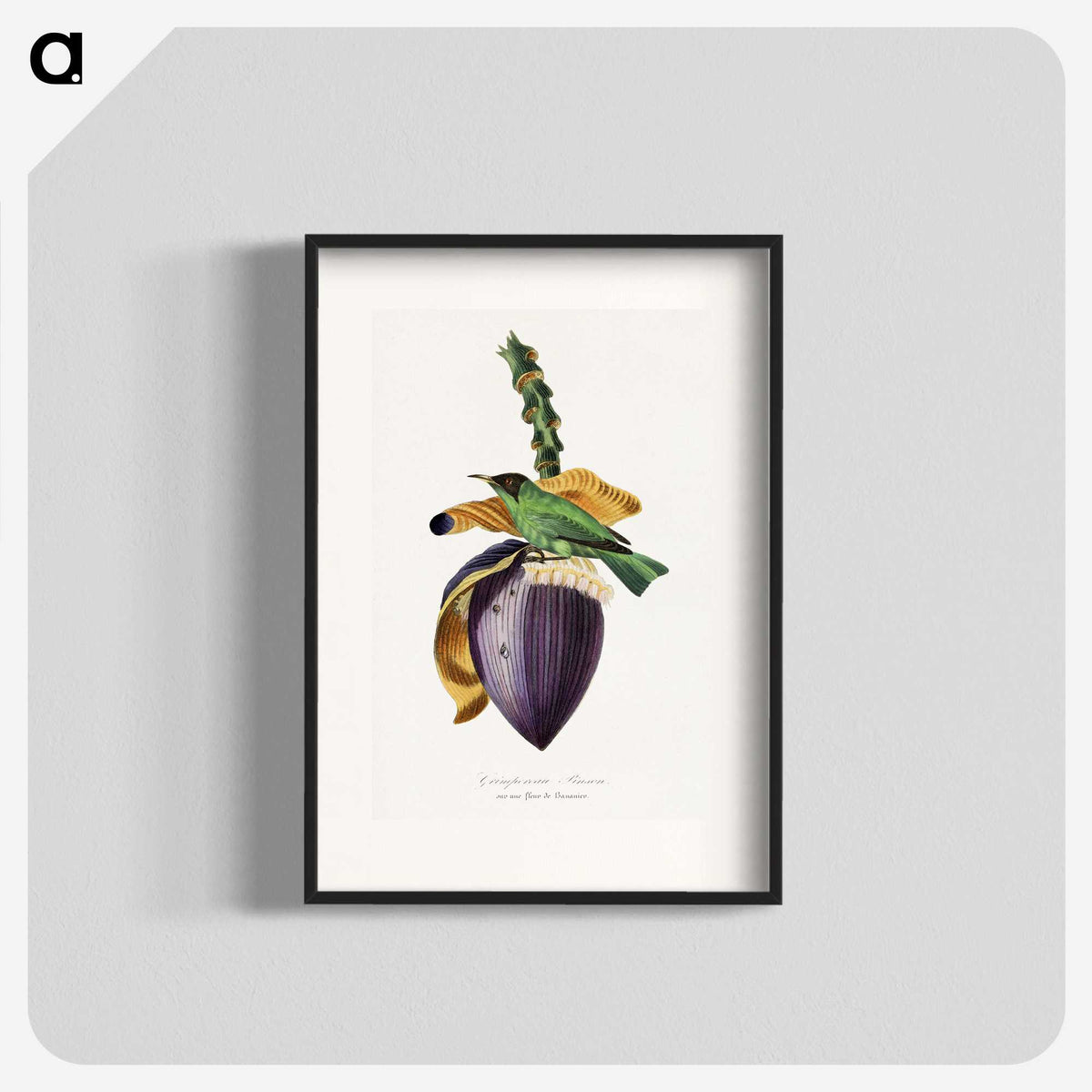 1-6_Le-Jardin-des-Plantes_blk