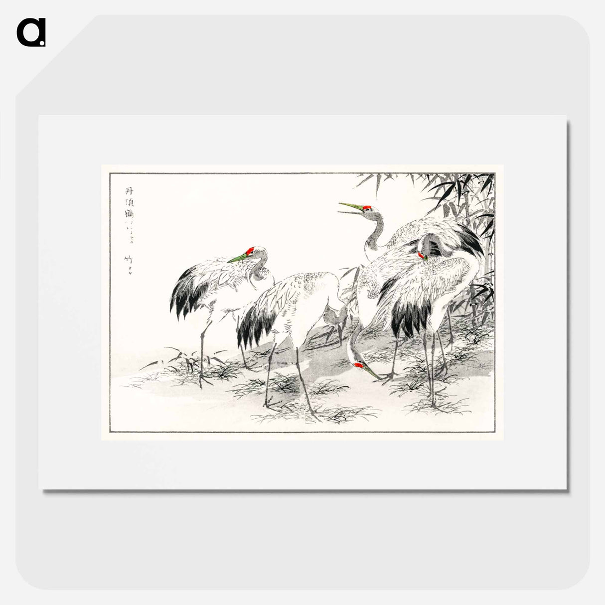 アートポスター-Japanese Crane and Bamboo Illustration
- 鳥類図鑑 Poster.