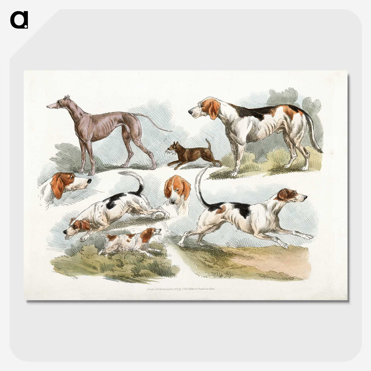 1-6_Sporting-Sketches_picture-crop