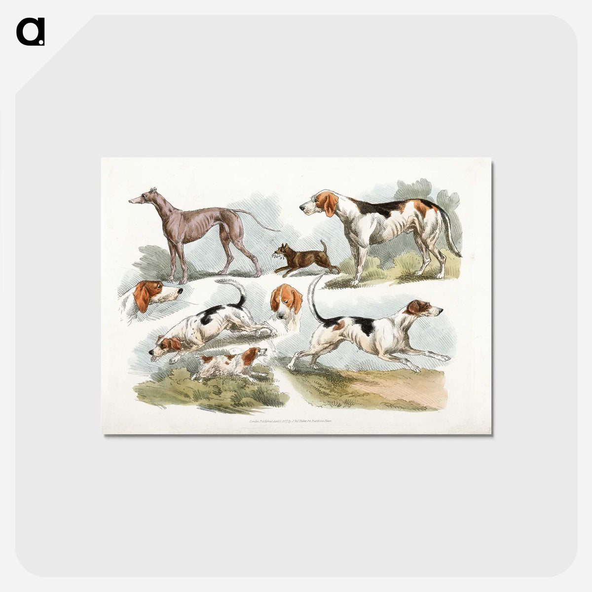 1-6_Sporting-Sketches_postcard